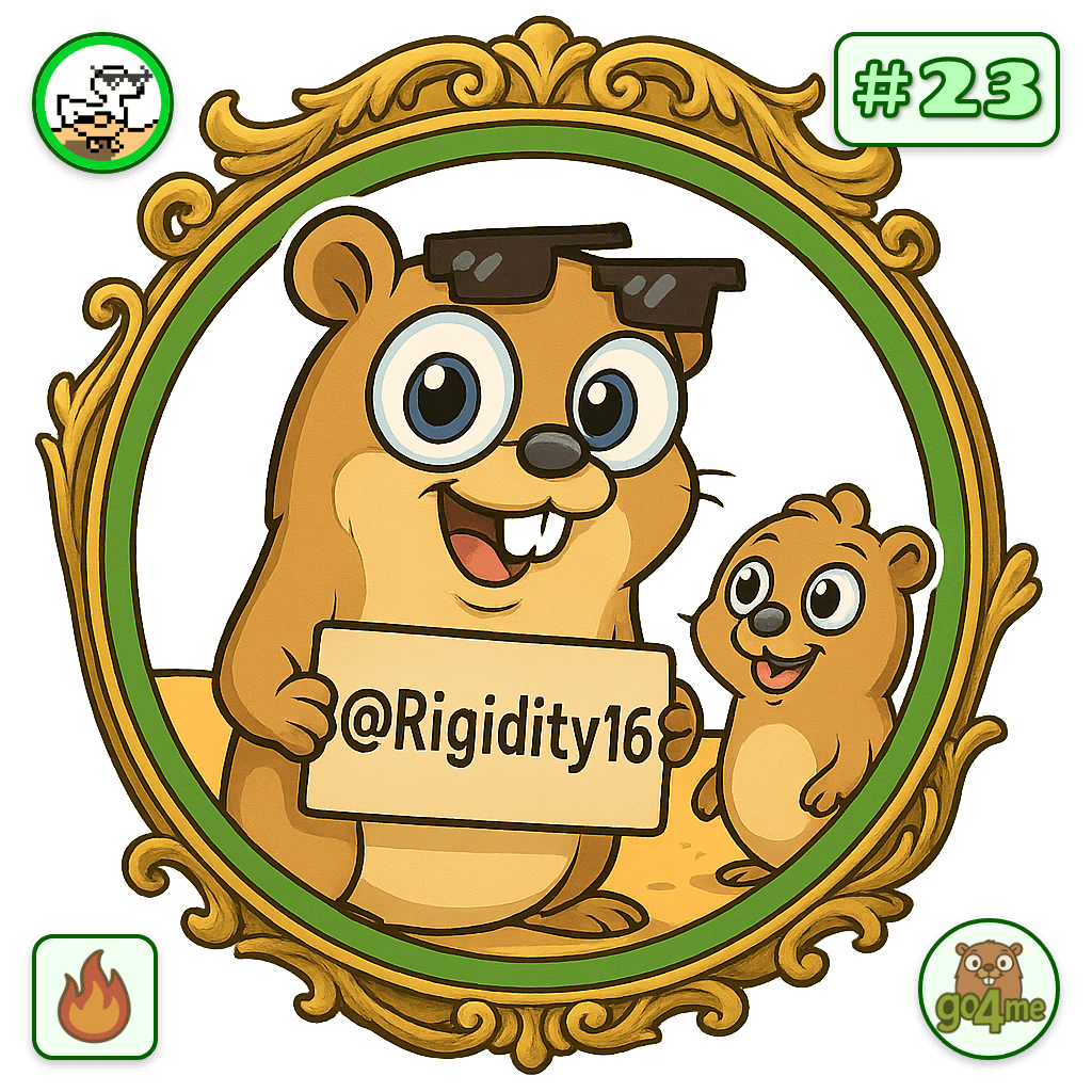 Rigidity16 avatar